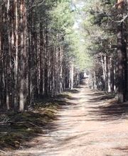 EselWanderHof-Spree-Neiße Bild 9