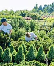 Bernhard Baumschulen AG Bild 9