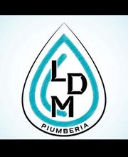 LDM Piumberia image 7