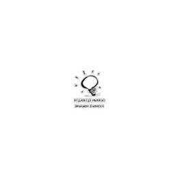 Impianti Elettrici Pesaresi Alessandro E C. logo