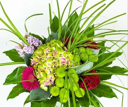 GD Fleurs Bild 4