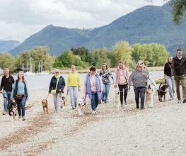 Hundeschule Hundeleicht Bild 6
