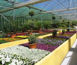 Fantastic Gardens imagen 4