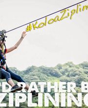 Koloa Zipline image 19