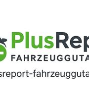 PlusReport Fahrzeuggutachten Bild 1