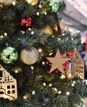 Stadt-Galerie Plauen Bild 4