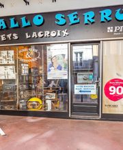 Allo Serrure image 18