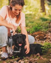 pawsitive dynamics Bild 1