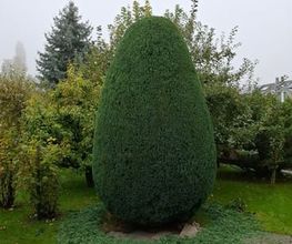 Chraftgrüen GmbH Bild 1