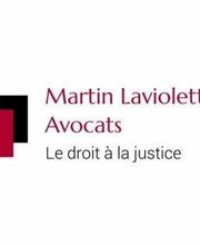 Martin Laviolette image 2