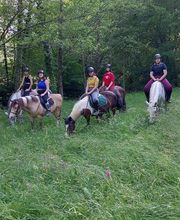 Centre Equestre De La Guérinière image 3