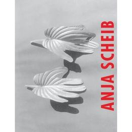 Med. Massagepraxis & Hypnosetherapie Anja Scheib