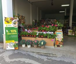232205047-1-20lADsJStt1763666229371.jpeg