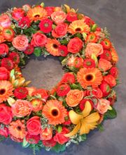 Au Flamboyant Bild 6