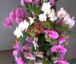 Blumen Jakob Bild 5
