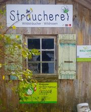 Bolz Gartenbau GmbH Bild 2