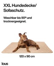 DBULLDOG GmbH Bild 1