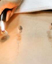 Praxis für Traditionelle Chinesische Medizin - Gregory Hofer Bild 5