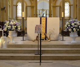 Passiflore image 14