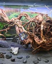 DAS FUTTERHAUS - Vechta Bild 9