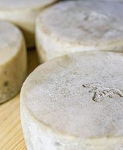 Fromages & Compagnie image 1