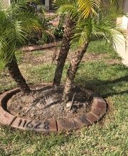 Curb Brothers image 16