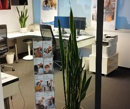 PC-Arbeitsplatz hinter einer Glaswand, vor der eine Pflanze und ein Werbeaufsteller stehen.