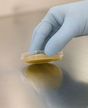 Laminar E&S AG Bild 5