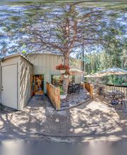 Beau Jo's Evergreen image 7