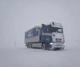 Casty Transporte Bild 3