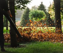 FLINK Service | Haus & Garten Bild 3