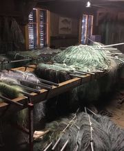 Fischerei Zollinger Greifensee Bild 1