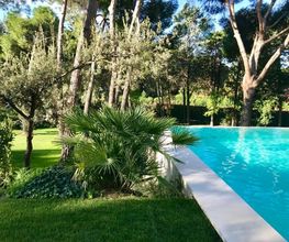 Pool&Paddle imagen 4