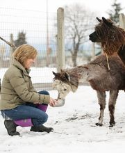 Alpaca Direct, LLC image 3