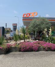 MOMO GIARDINI SA - GIARDINIERE LOCARNO, AFC / EFZ Bild 1