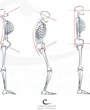 Vitalite Corps image 6