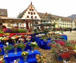 Freiburg-Guide Bild 15