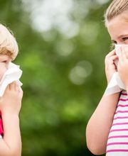 Allergie- und Asthmapraxis, Dr. med. Levy Francis Bild 7