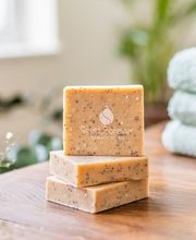 SEED FOREVER image 12