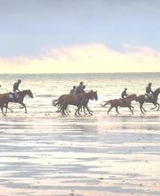 Club Hippique La Cavale image 6