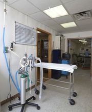 Spoon River Animal Clinic image 2