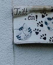 Tierarzt Weitramsdorf, Kleintierpraxis am Wasserturm Bild 8