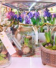 Le Langage Des Fleurs image 3