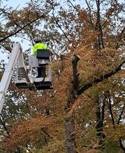 WhatsApp Bild 2023-11-09 um 19.56.47_141e11d6.jpg