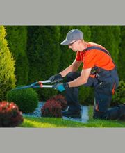 VANGI VERDURE ET BOIS V.V.B image 3