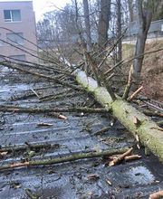 Claude LIMAT SA Bild 3