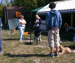 Hundeschule Mosig Bild 12