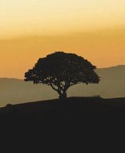 Susana García Agente de Seguros imagen 7