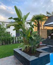 Bleuler Gärten Bild 2