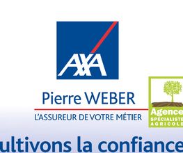 Axa Weber Pierre Agent Général image 2